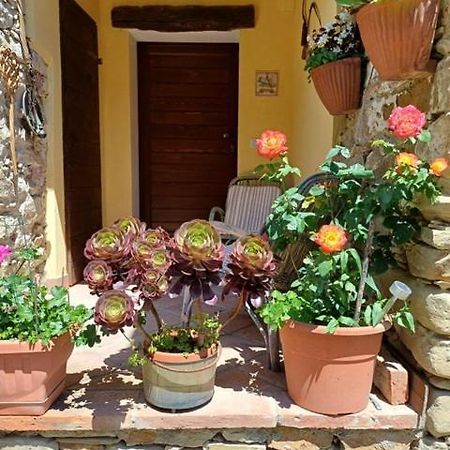 Casa Galla Овада Екстериор снимка